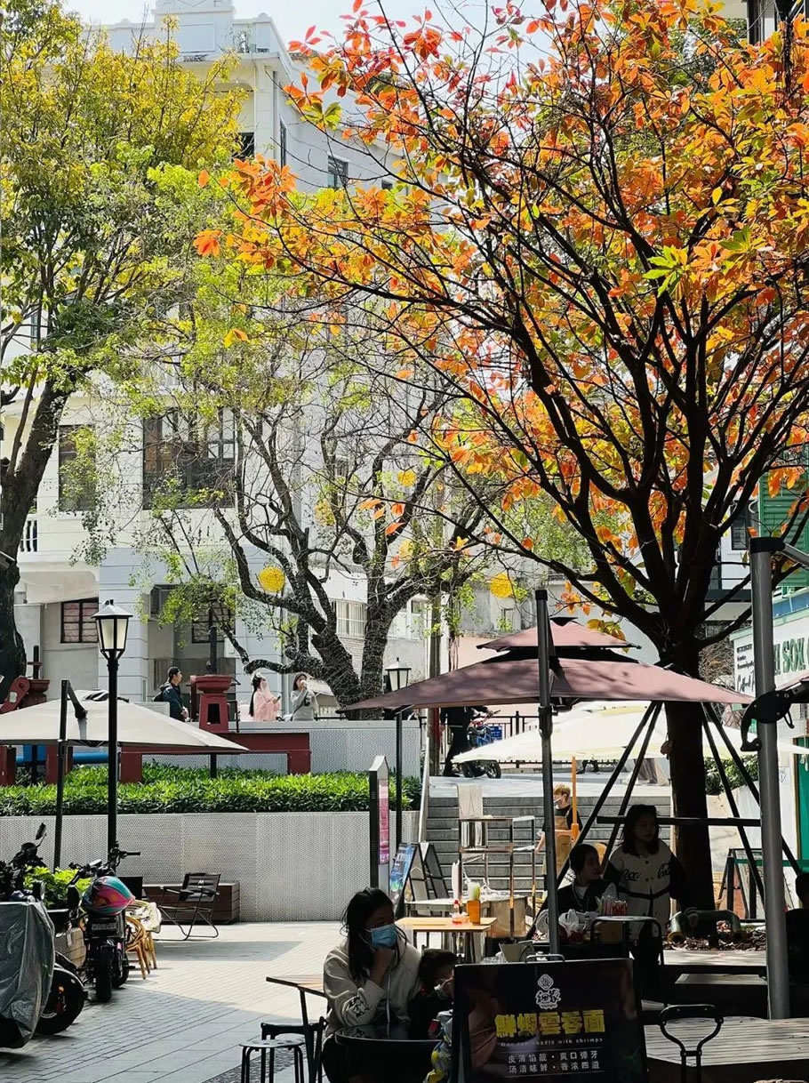 广州恩宁路城市更新丨中国广州丨张唐景观设计事务所-82