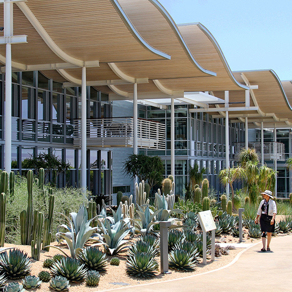 Civic Landscapes — PWP-15