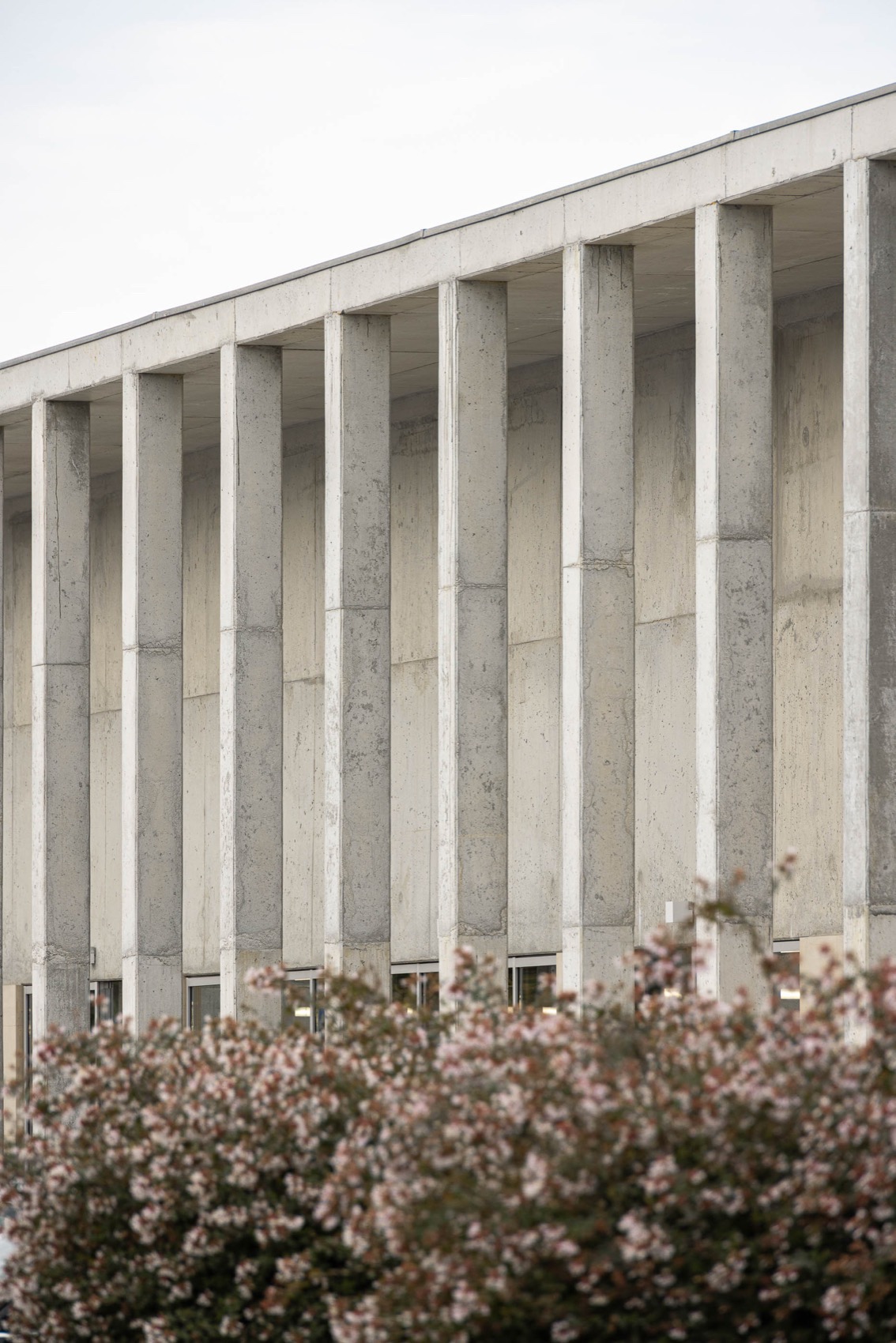 Caminha市场丨LOFTSPACE e TIAGO SOUSA-27