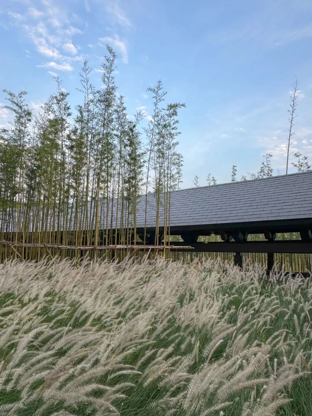 “龙脊”  地中海黑龙滩度假酒店丨中国眉山丨AIM（恺慕）建筑设计等多家-18