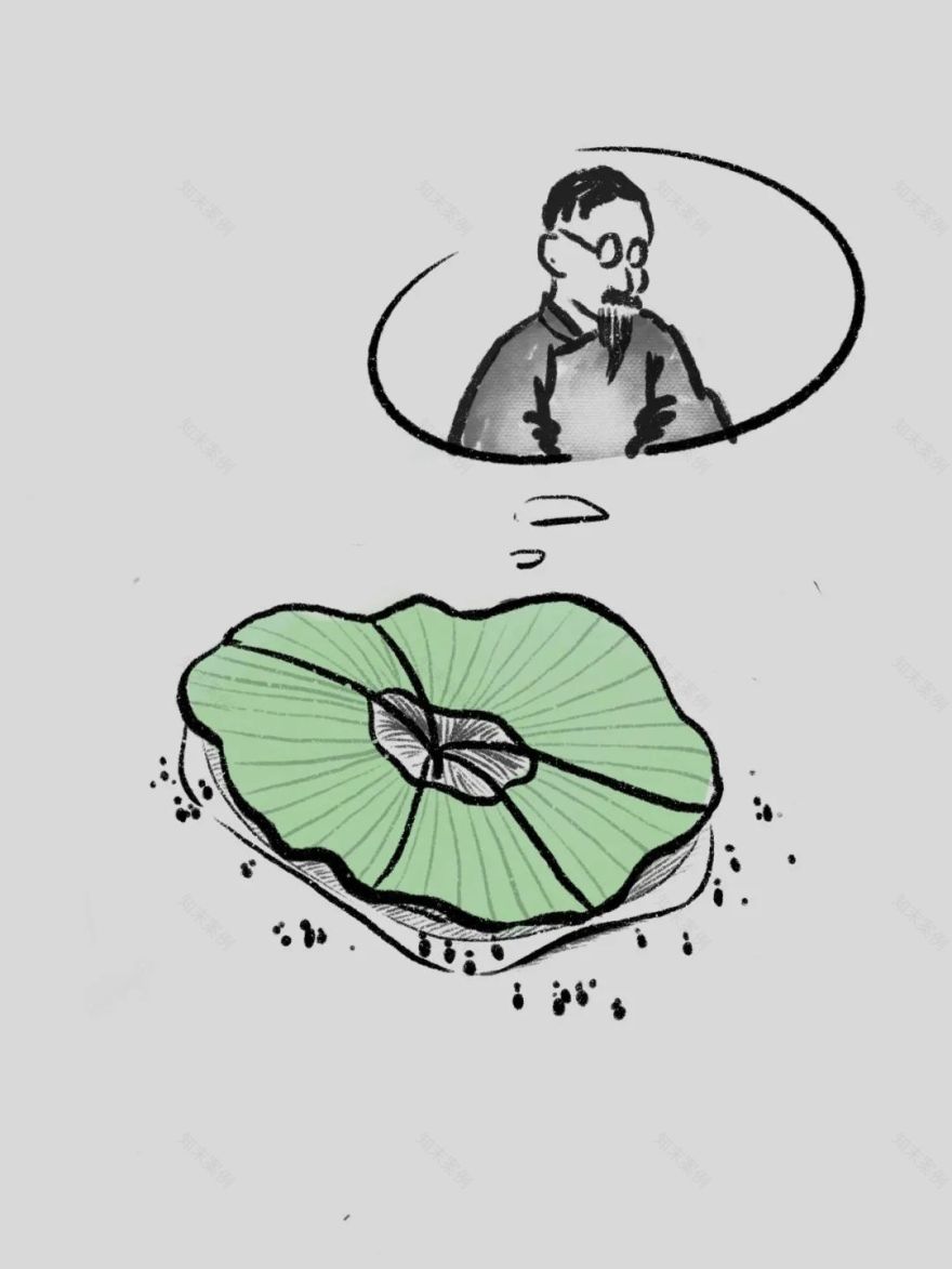 丰子恺艺术中心 | 以“荷”为意象,讲述纯真、高洁、飘逸的故事-35