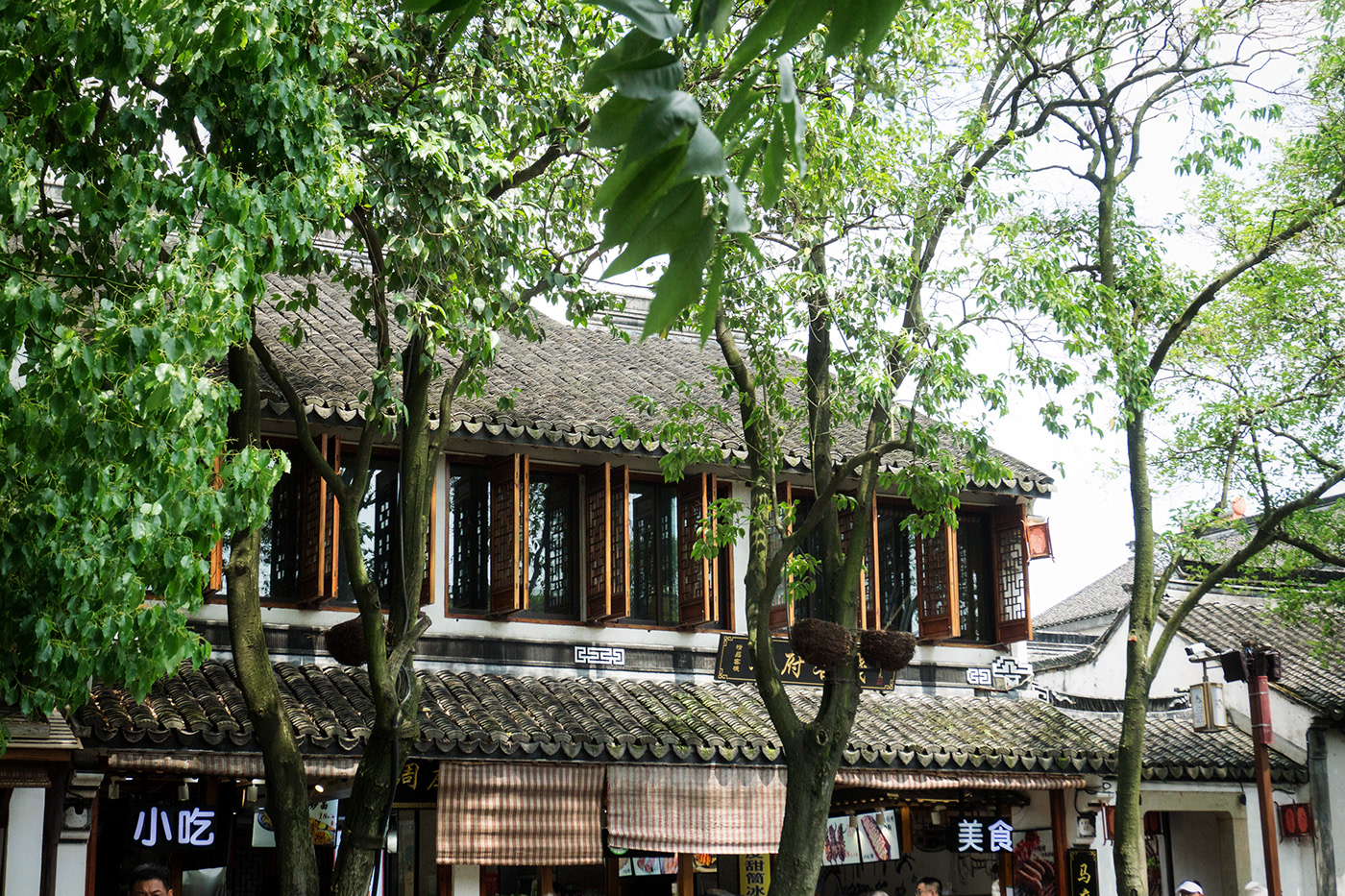 A town south of the Yangtze River in China—Zhou zhuang-3