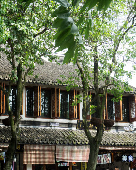 A town south of the Yangtze River in China—Zhou zhuang