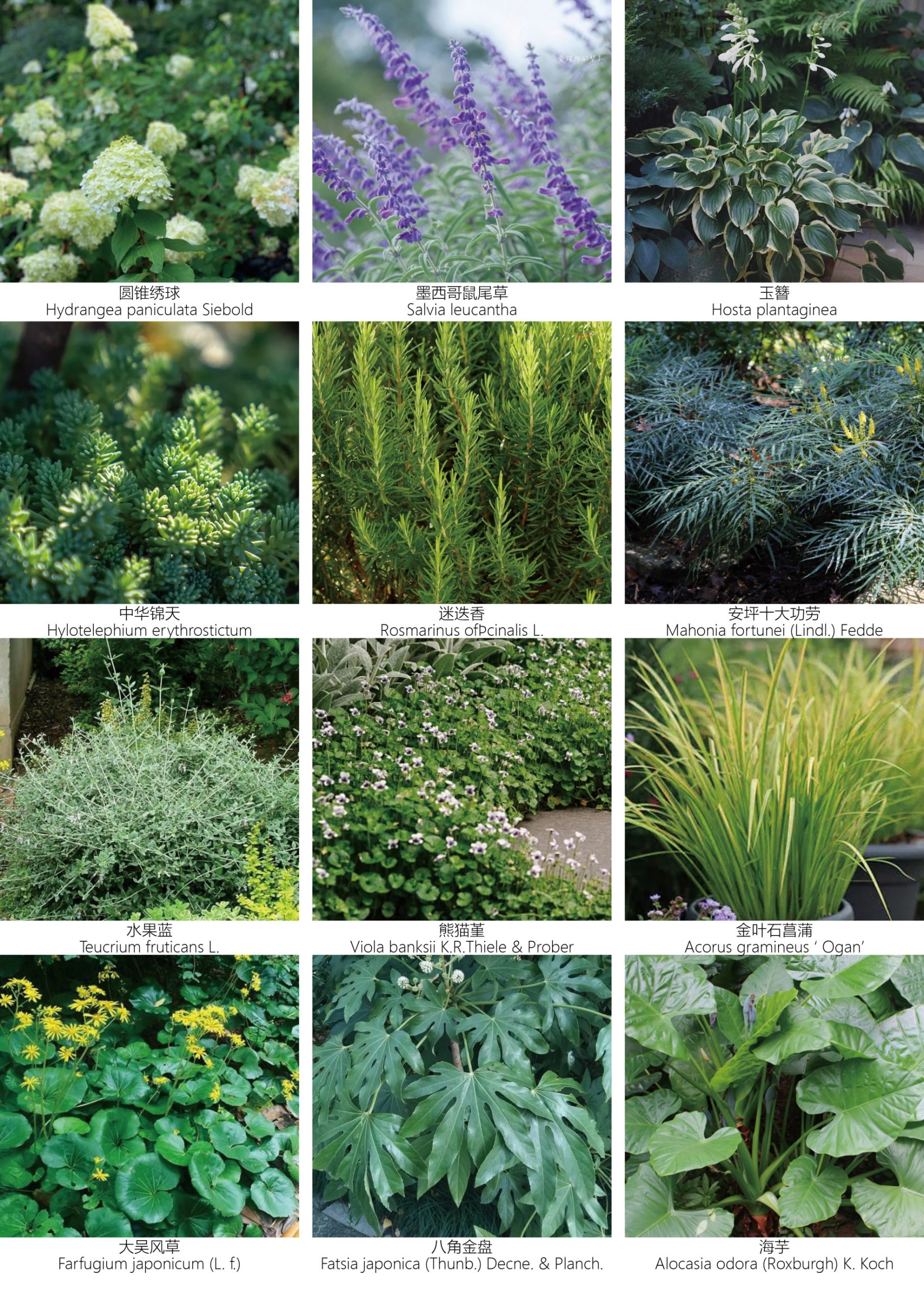 万科檐语间：城市中的原野 公园里的商业 / ROXin容心设计-71