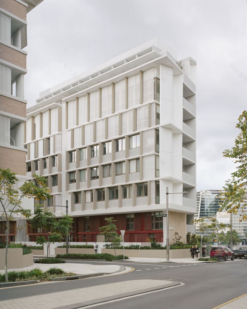 Botany Road 住宅区丨澳大利亚丨Candalepas Associates-30