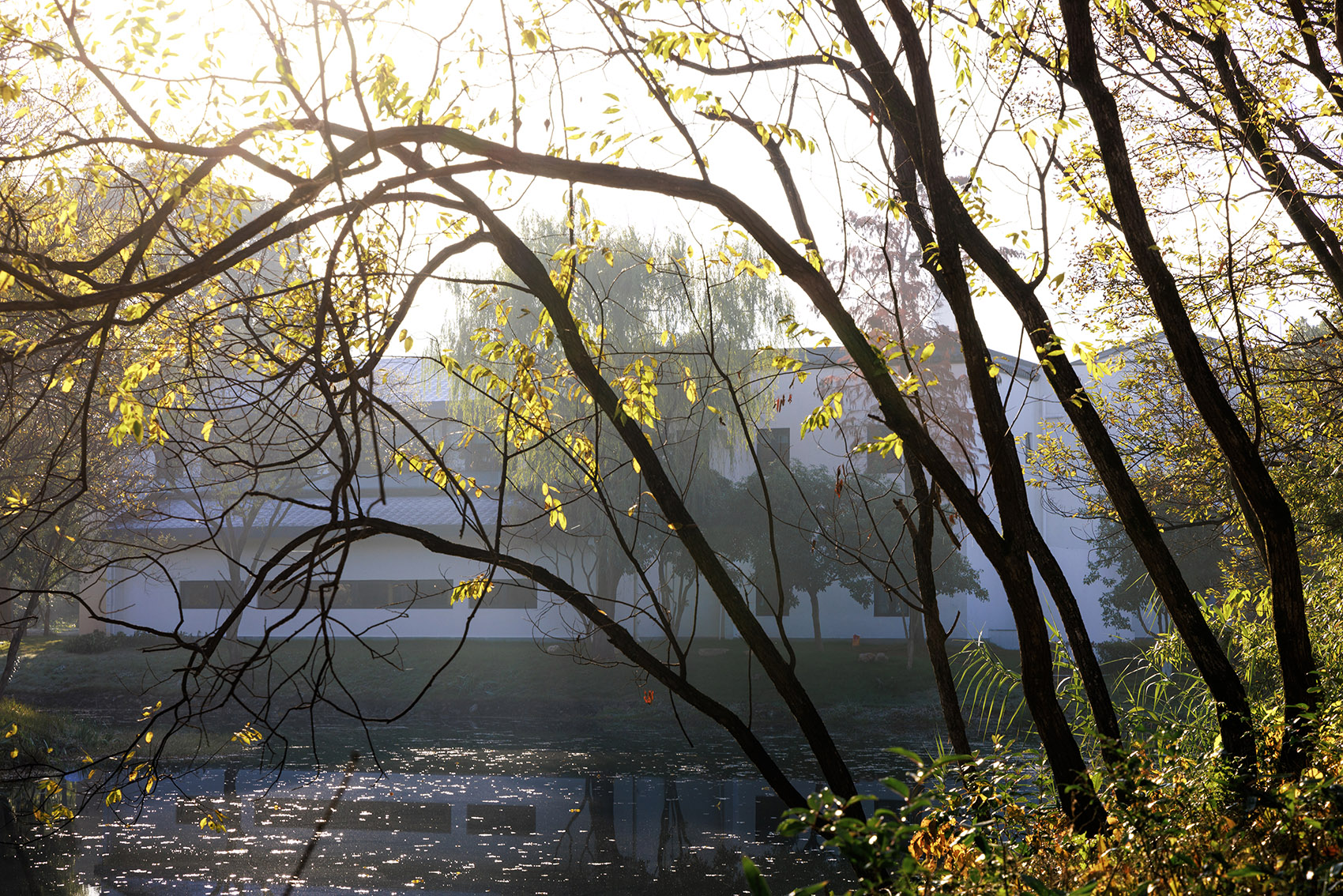 西溪蔡志忠美术馆丨中国杭州丨中国美术学院风景建筑设计研究总院+森上建筑-11