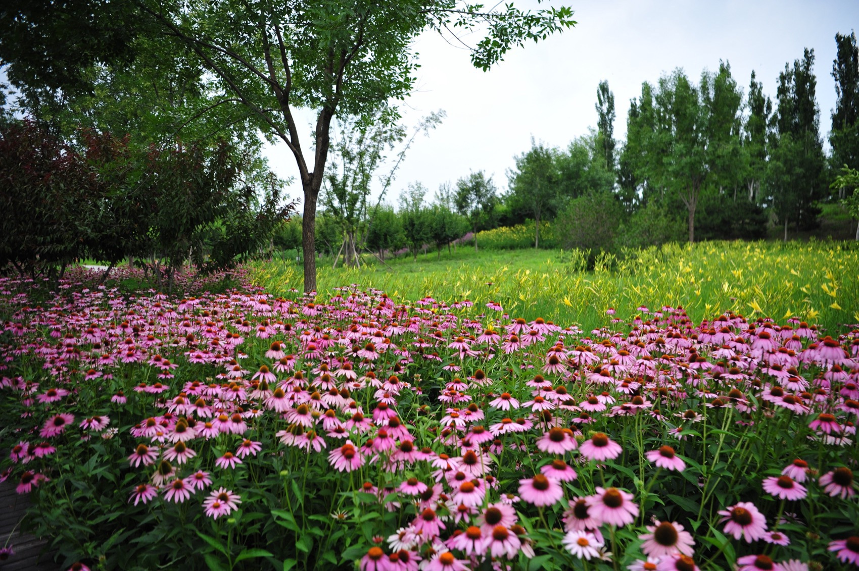 北京饮鹿池公园丨中国北京丨BLLA冯潇工作室,北京山水和泓风景园林设计院有限公司-47