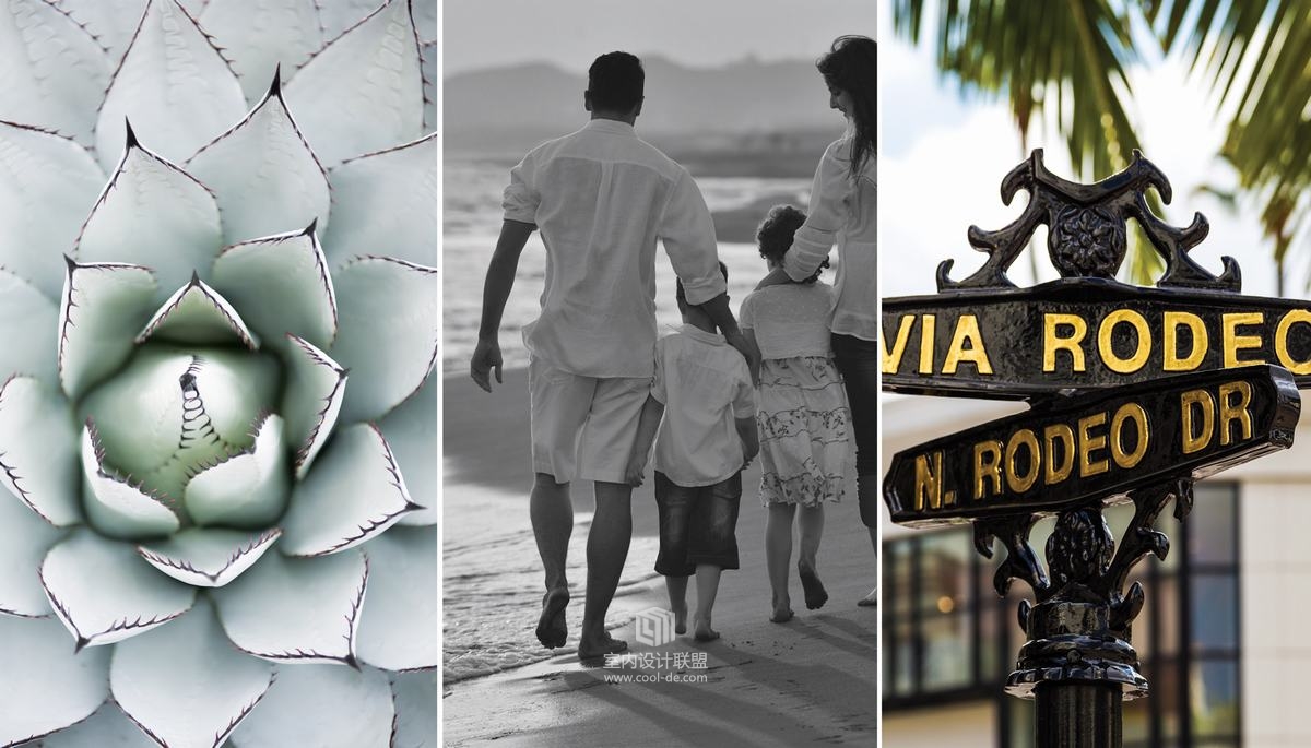 Beverly West 美国洛杉矶Santa Monica区住宅样板房-46