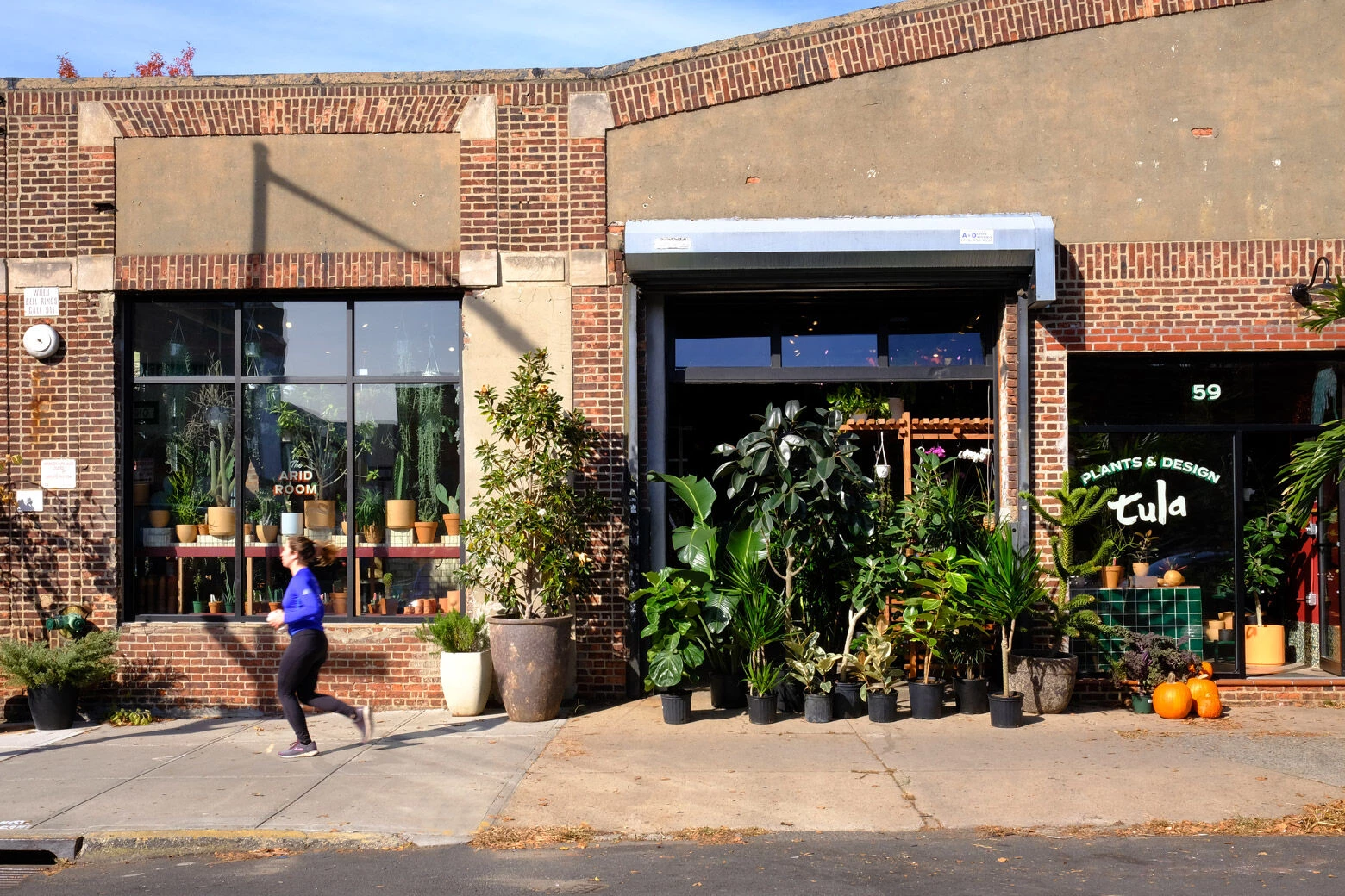 图拉植物与设计丨美国纽约-18