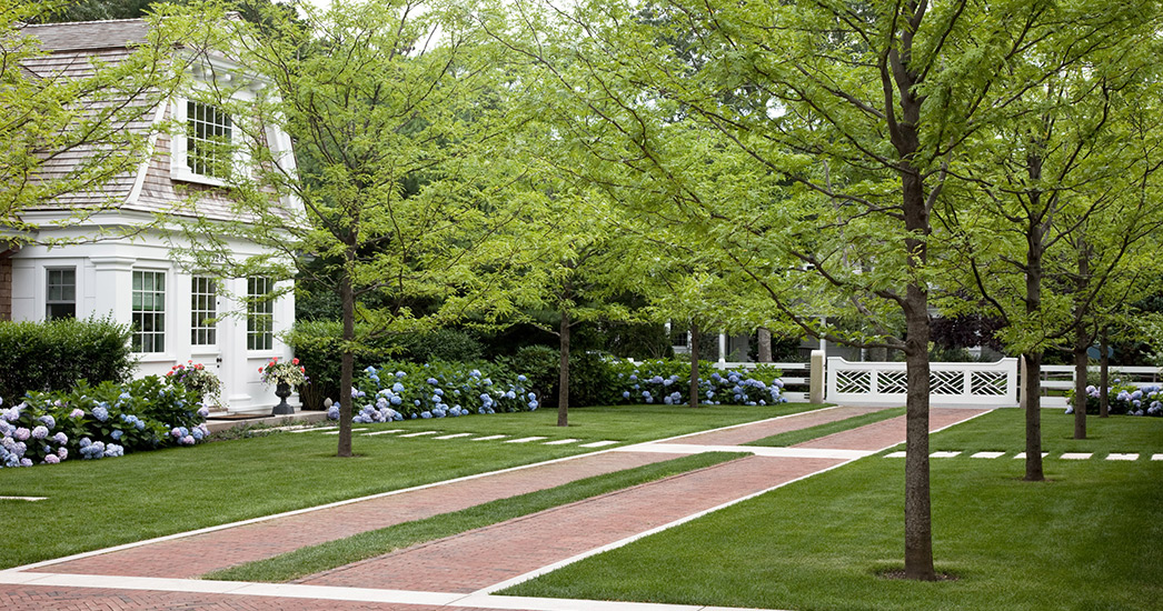 奥斯特维尔牡蛎港景观改造项目丨美国-6