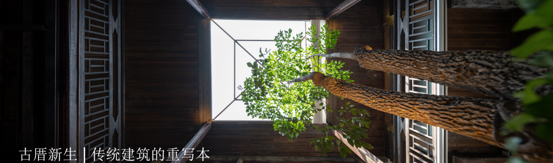 SIANEWS|尚恩荣膺两项殊荣，以实力再书华章-57