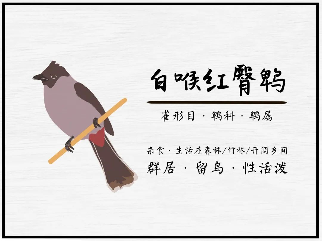 广汽丰田生态园·工业绿色风景线丨普邦设计-92