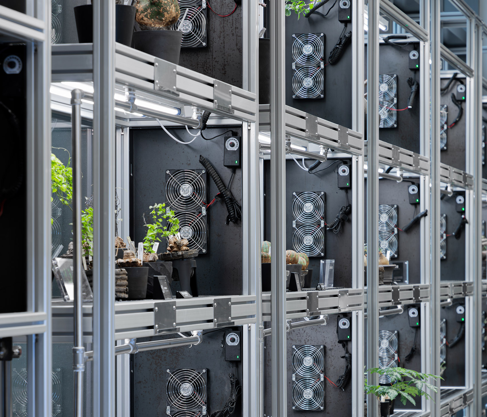 OASIZ 绿洲（HAUS NOWHERE 店）丨中国深圳丨Ruhaus Studio-23