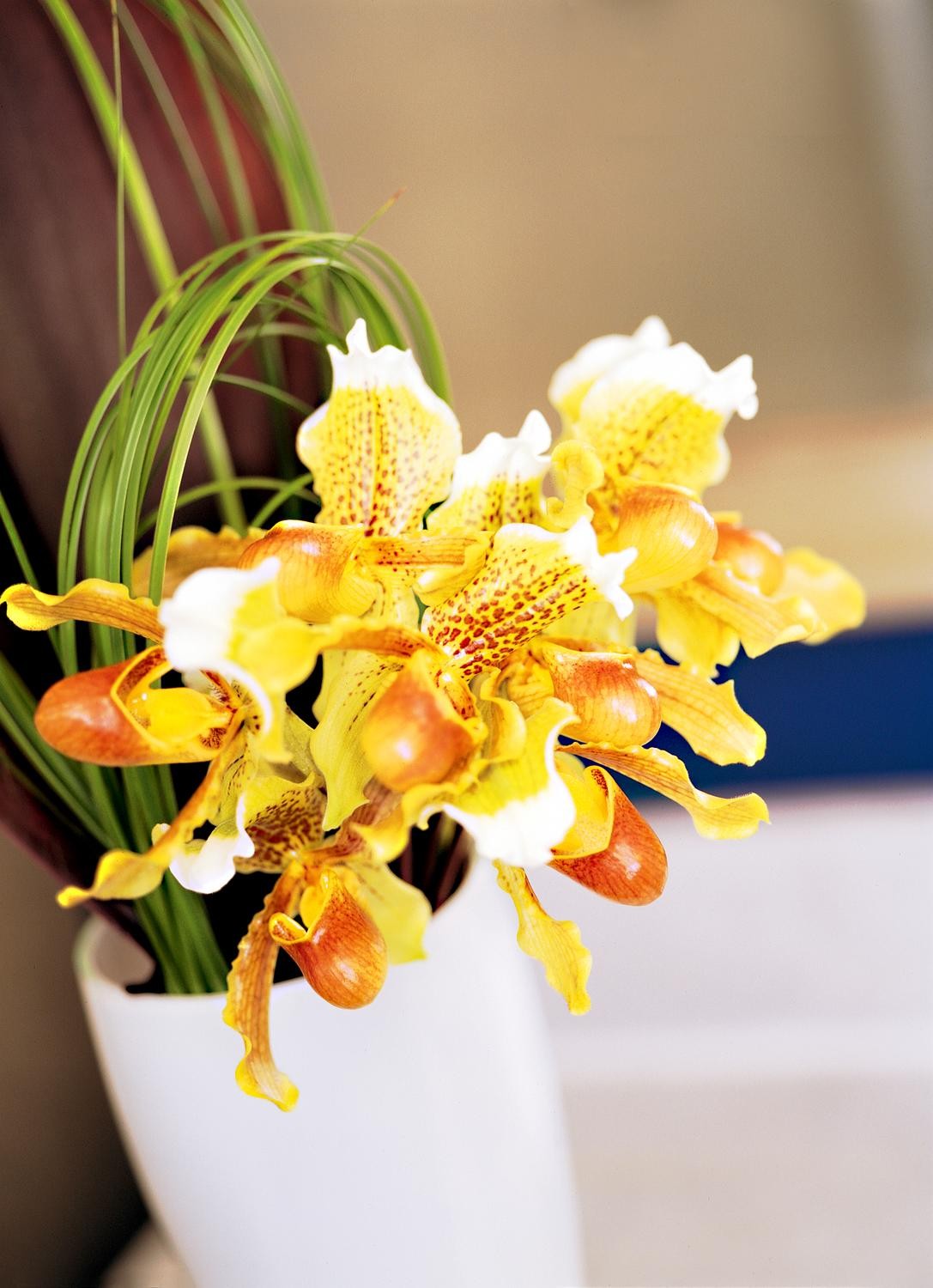 W Atlanta - Perimeter, Atlanta, Georgia (GA), United States-7