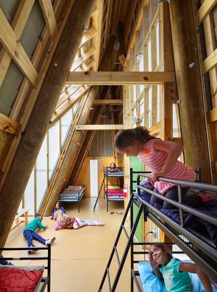 格雷厄姆营地 | 树屋冒险，自然与设计的完美融合-23