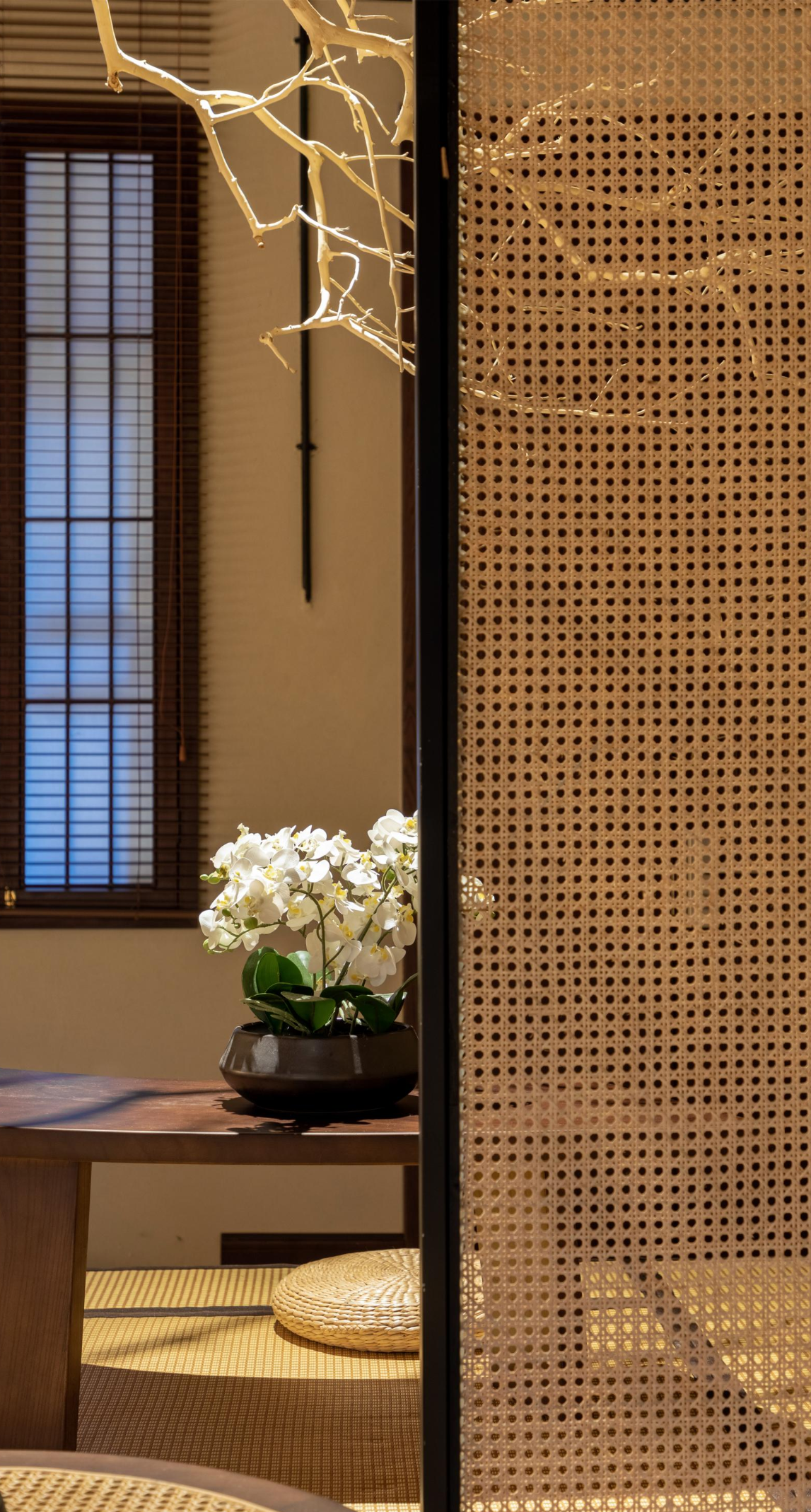 新作 邂逅岁月里的诗意旅居:山东青岛中山路顺德府客栈丨中国青岛丨山溪集(上海)空间设计咨询有限公司-41