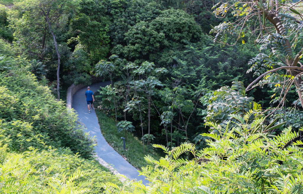 深圳西丽生态公园-16