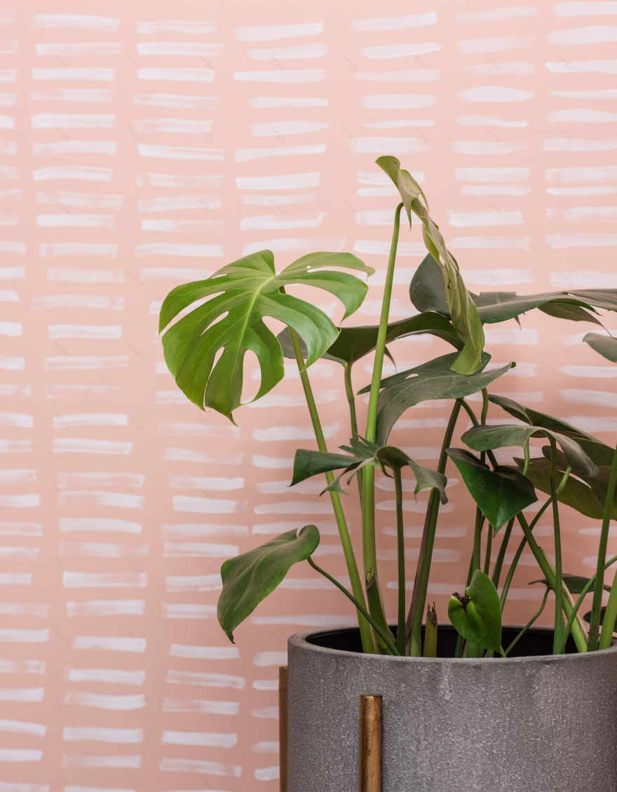 科玛德雷——右手室内装饰公司(这里假设Diestra Interiorismo是一个室内装饰相关公司名称,Diestra本意为右手的 ,Interiorismo意为室内装饰;Co Madre暂音译 ,因为缺乏相关行业专业对应信息,如果有更具体语境,翻译可能更精准) -13