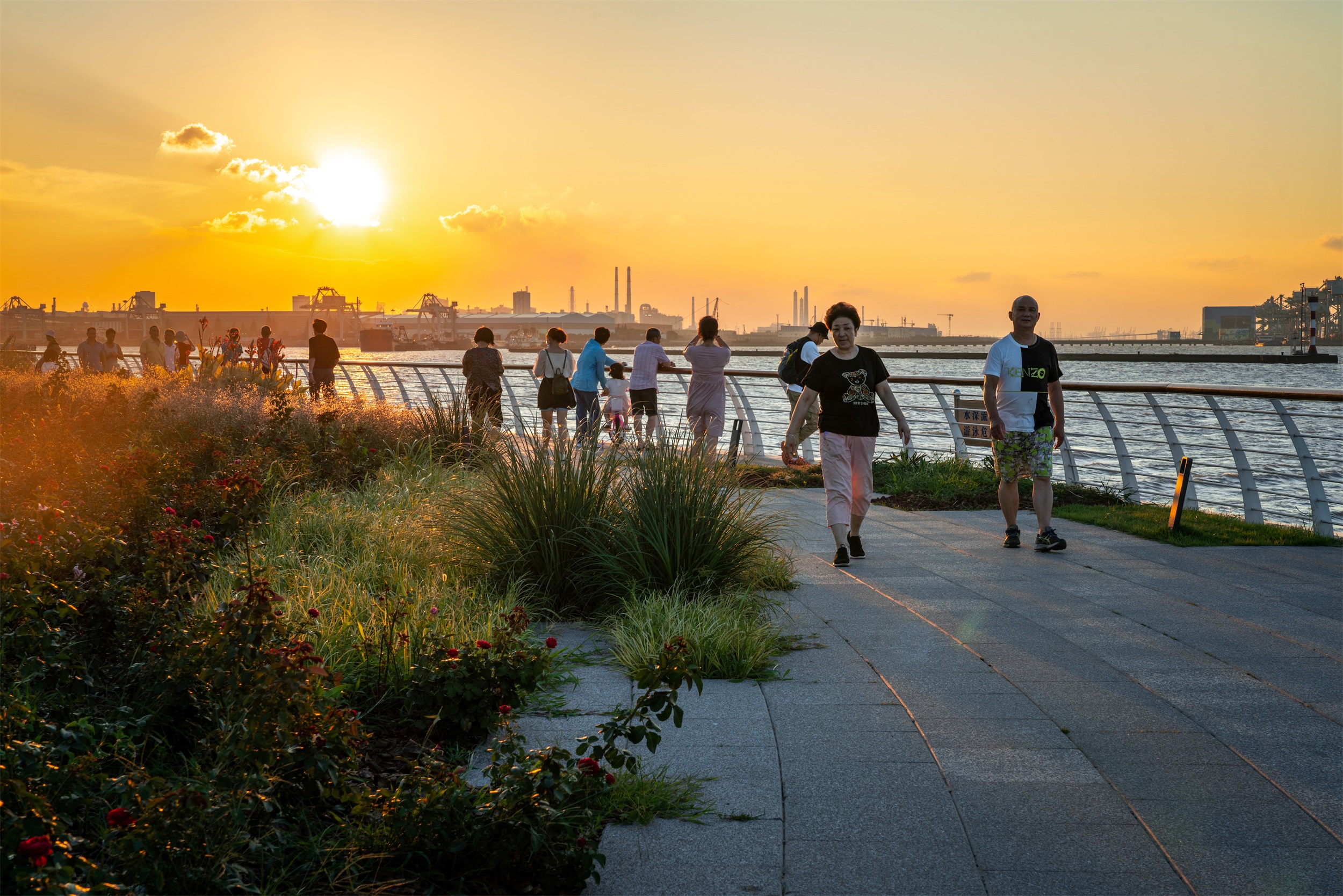 宝山滨江（一期）岸线的生态化与市民化转型-67