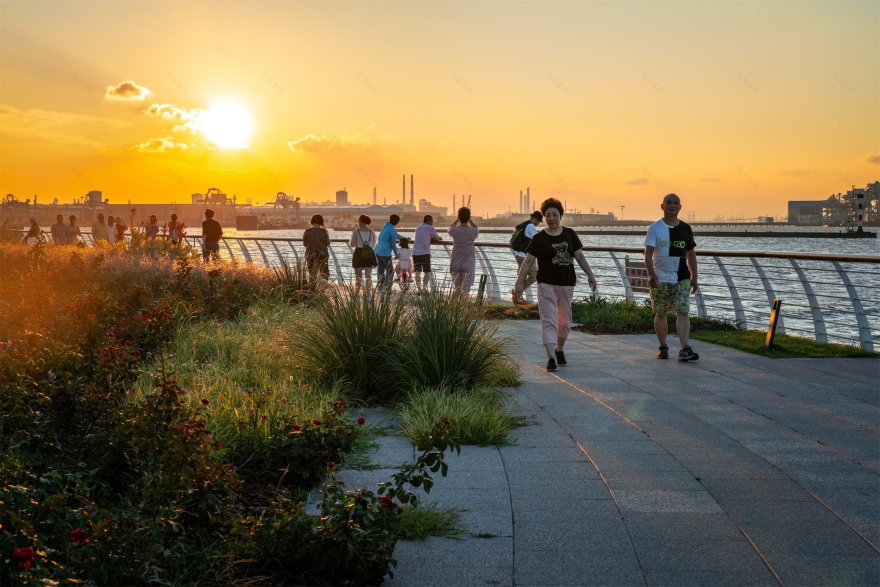 宝山滨江(一期)岸线的生态化与市民化转型-67