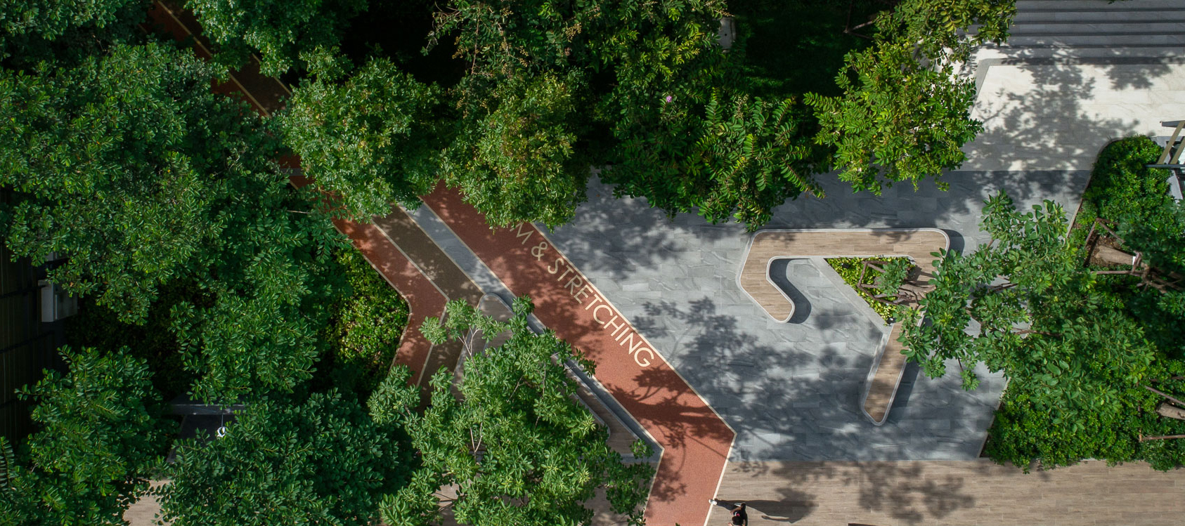 活力大区(Plum Alive)-39