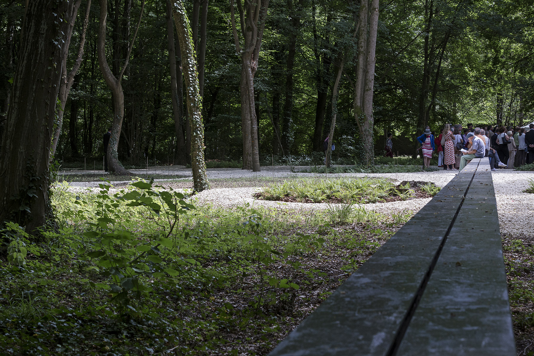 第三列车花园的镜像长凳丨法国-28