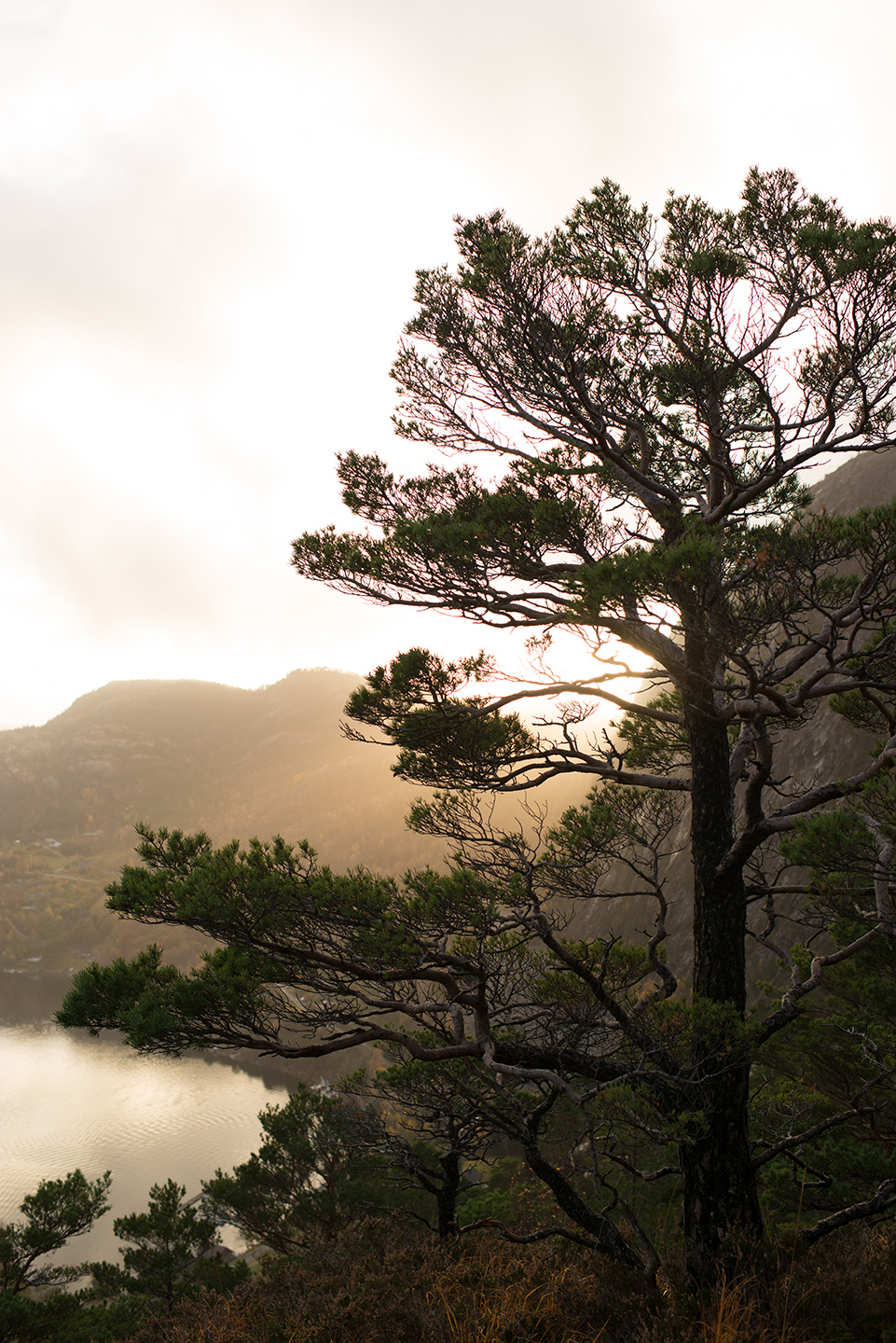 挪威 Bolder Star 度假木屋丨Snøhetta + Vipp-22