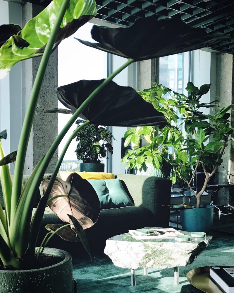 Sony Music Entertainment Amsterdam  Space Encounters-34