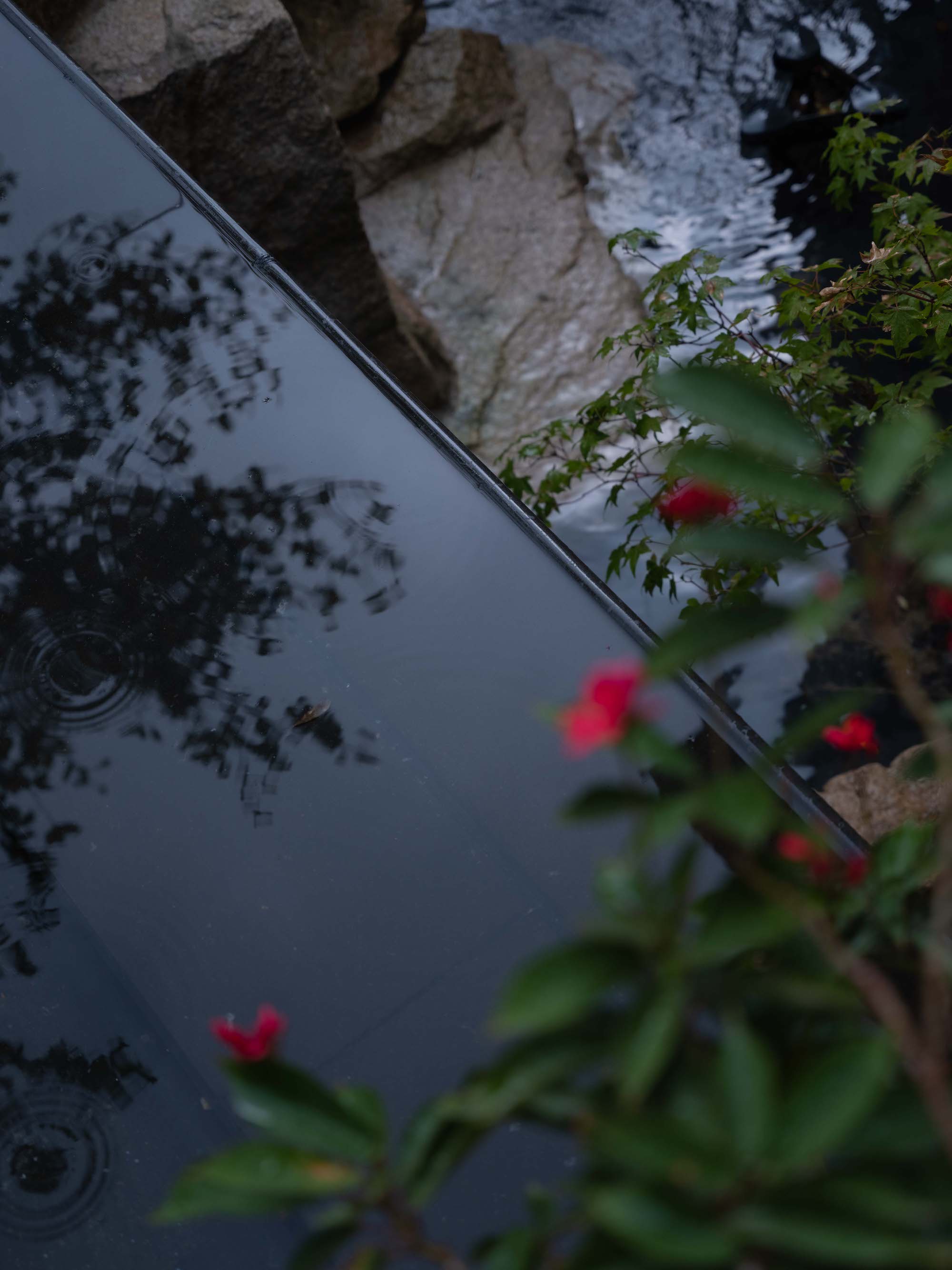 溪山院别墅庭院景观丨中国浙江丨精也园社(南京)设计有限公司+南京金石景观设计-12