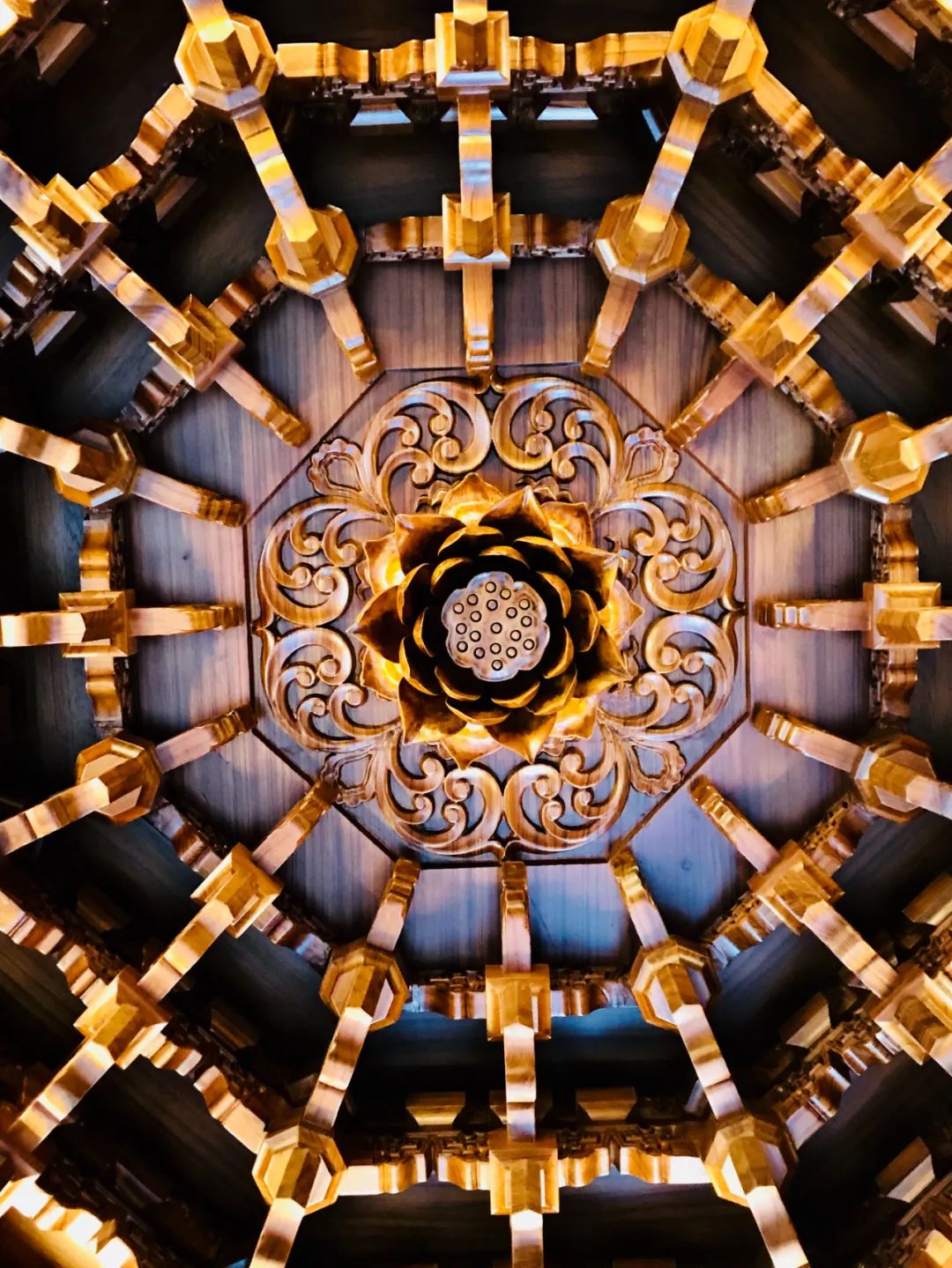 陈少群 | 室内设计中的自然、环保与健康-75