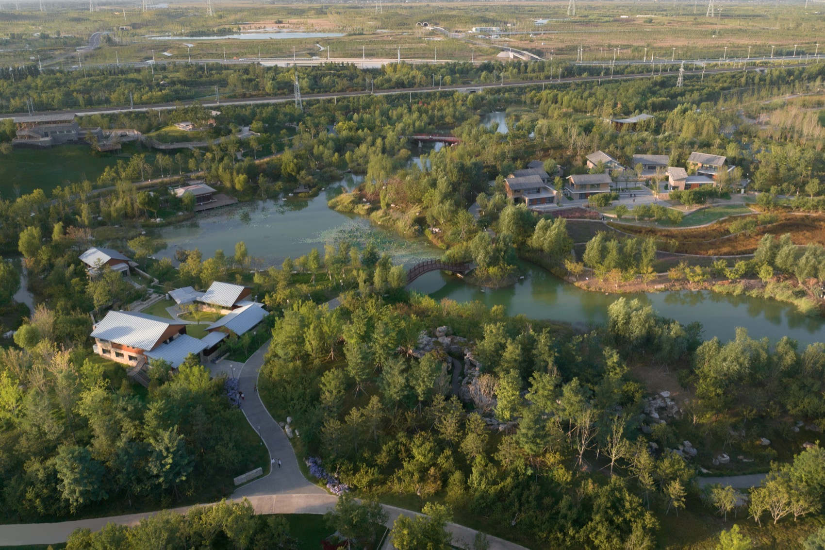 雄安新区悦容公园桃花园丨北京林业大学园林学院,北京多义景观规划设计事务所-5