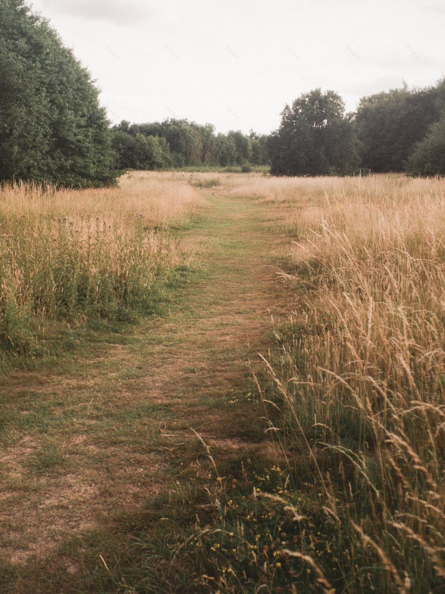 丨英国丨Apricot Square-28