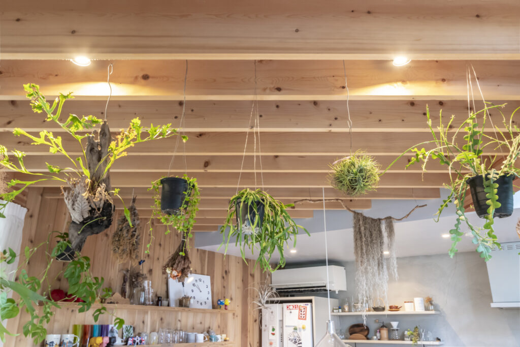 多くの緑とともに暮らす飽きの来ない家　ゆるやかにつながる空間と大きな開口でのびのびと暮らす | Architecture | 100%LiFE-12