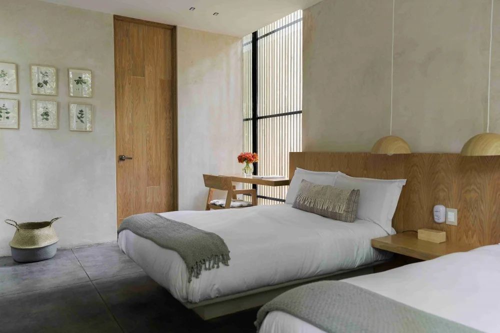 马格屋丨墨西哥丨Mauricio Ceballos X Architects-9