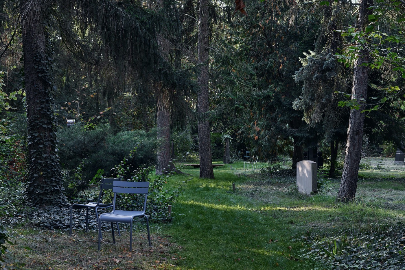 Luisenstädtischer 公墓变身文化生态社交空间-4