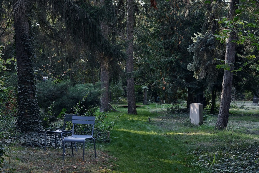 Luisenstädtischer 公墓变身文化生态社交空间-4