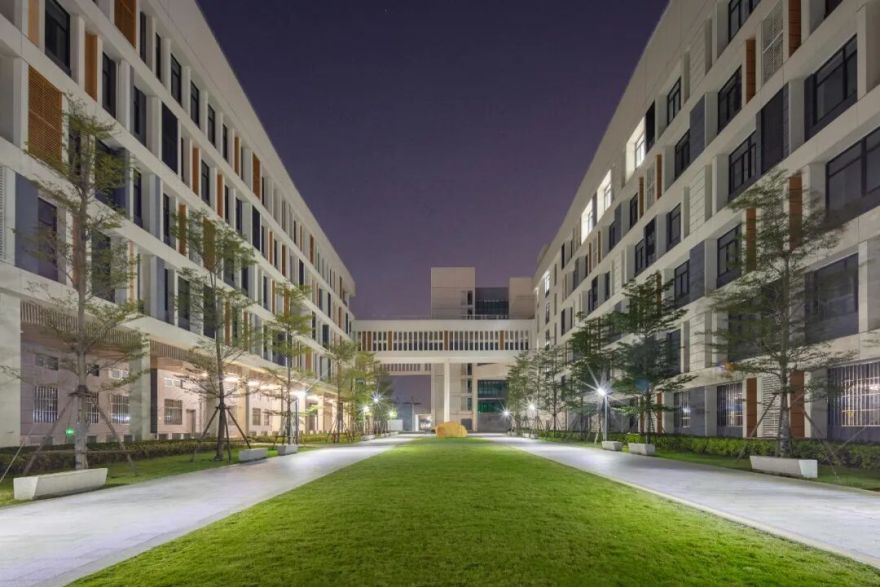 夏至丨夏至已至,万物繁茂-8