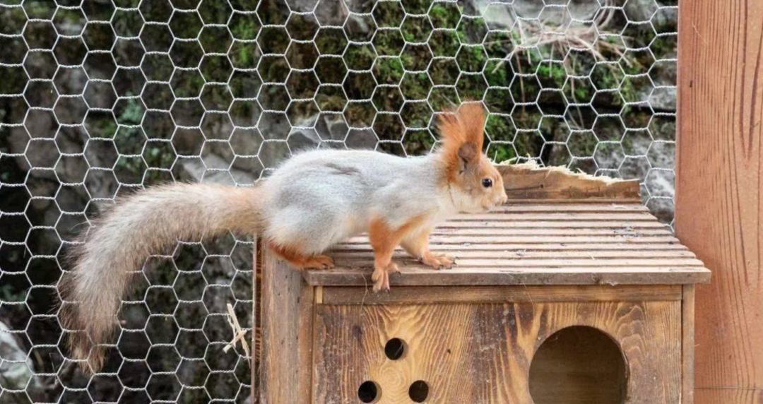 青来计划·蘑菇点灯，让每一座乡村找到自己的光|中青博纳|印文设计-57