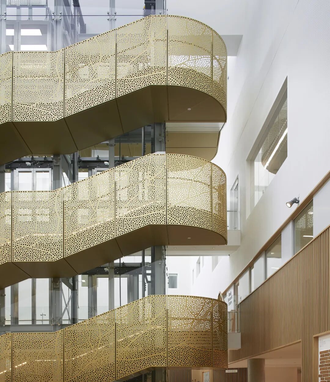 英国橡树癌症中心丨BDP百殿建筑设计-20