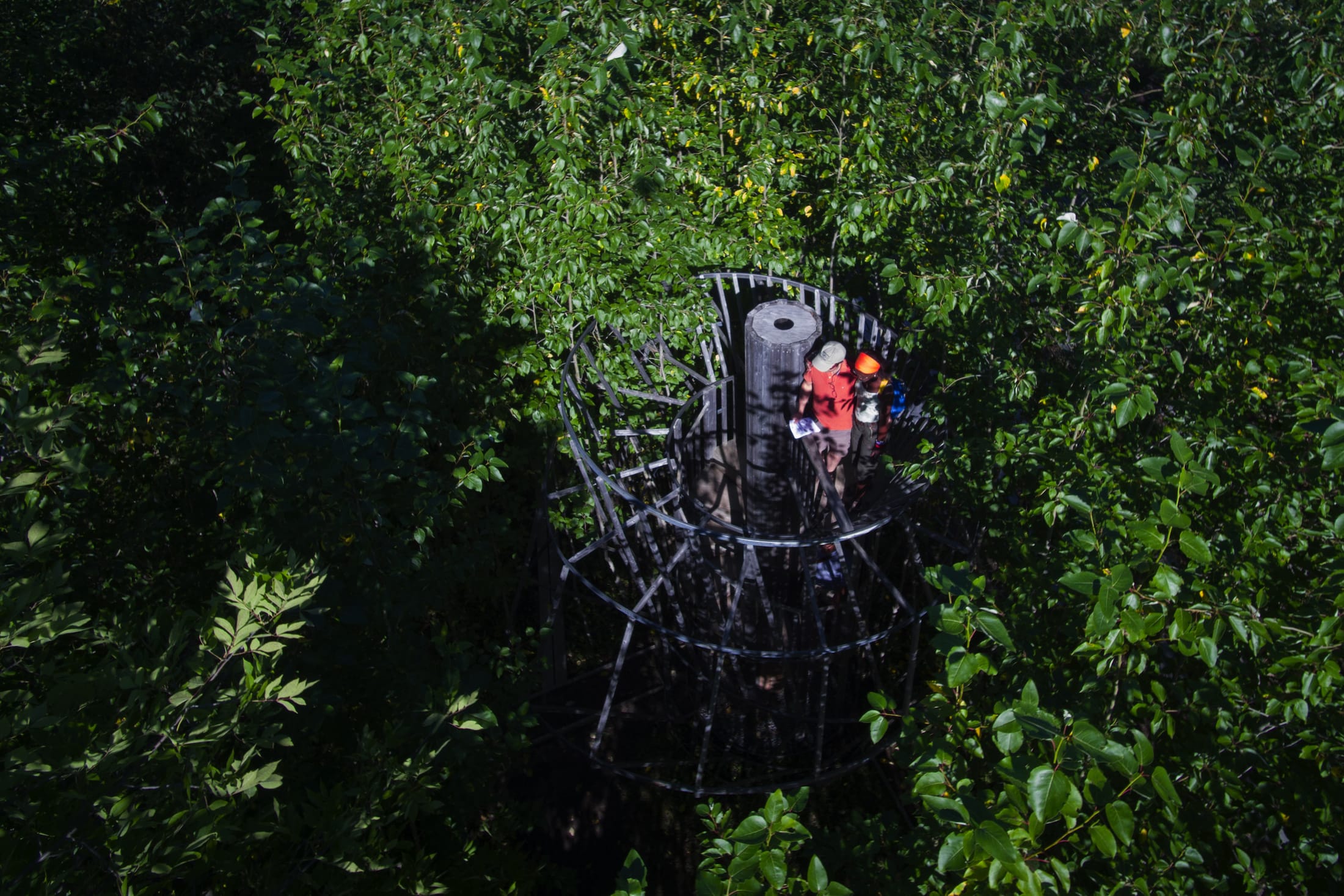 2019加拿大国际花园节(第二部分),Reford Gardens-102