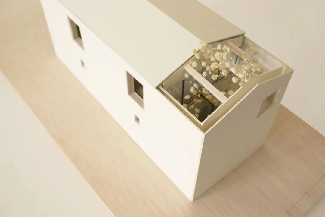 Casa Descadrell 改造丨法国丨SYMBIOSE ArchitectureDesign-52