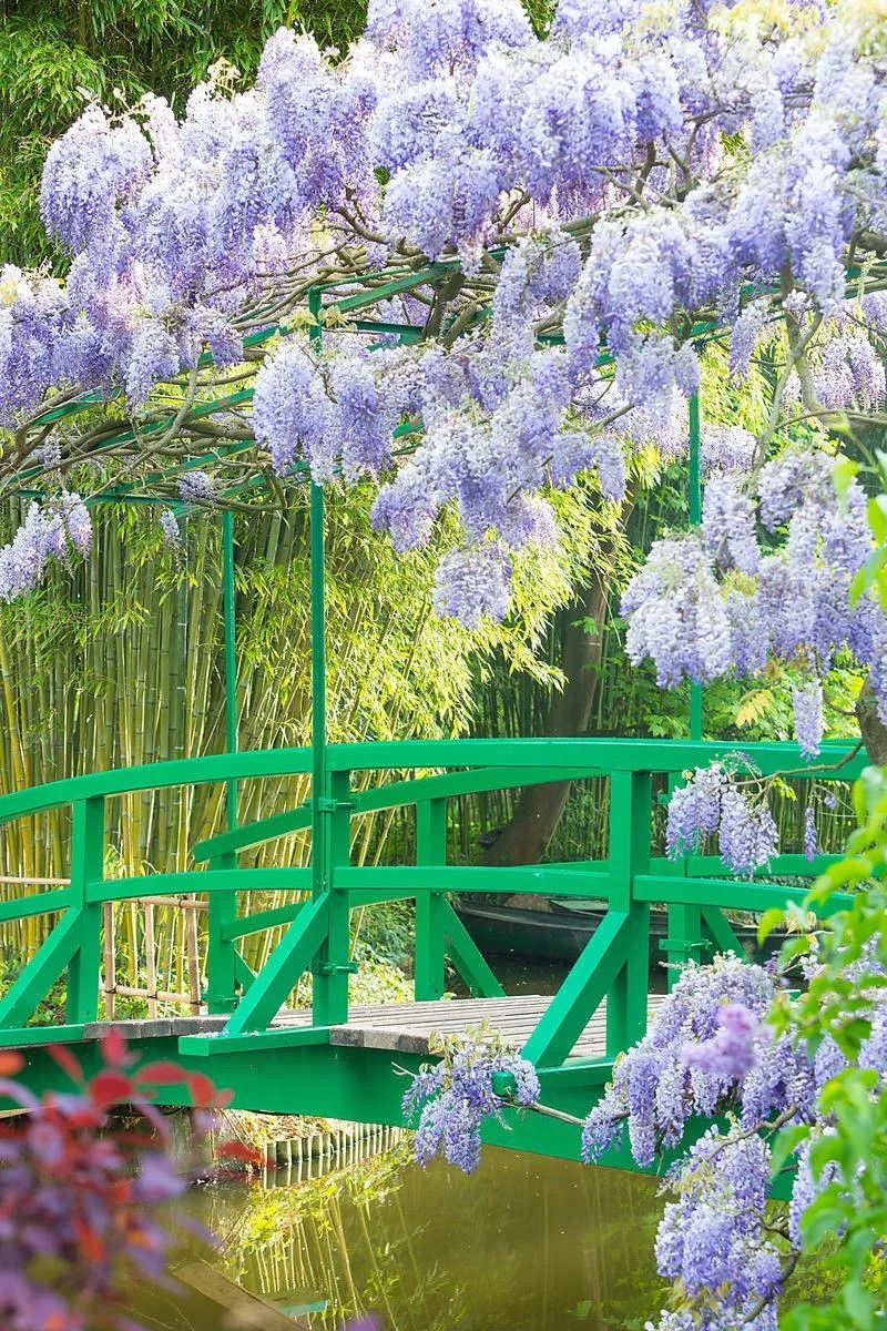 莫奈花园的室内设计灵感 | 自然与艺术的和谐交融-40