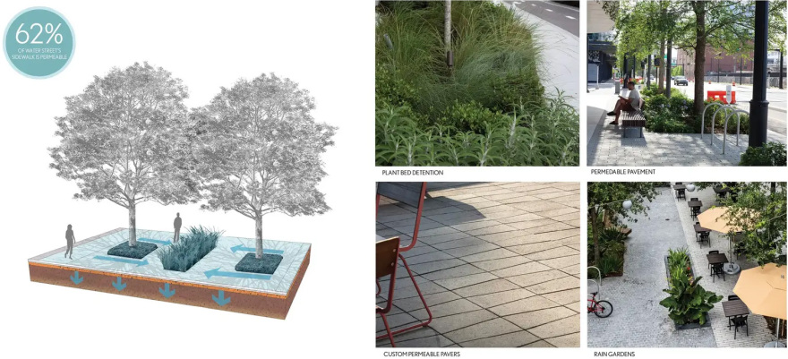 坦帕水街的连绵树冠丨美国丨Reed Hilderbrand-35