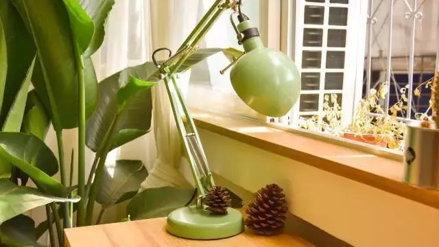 让我依依不舍的，不止你的温柔-50