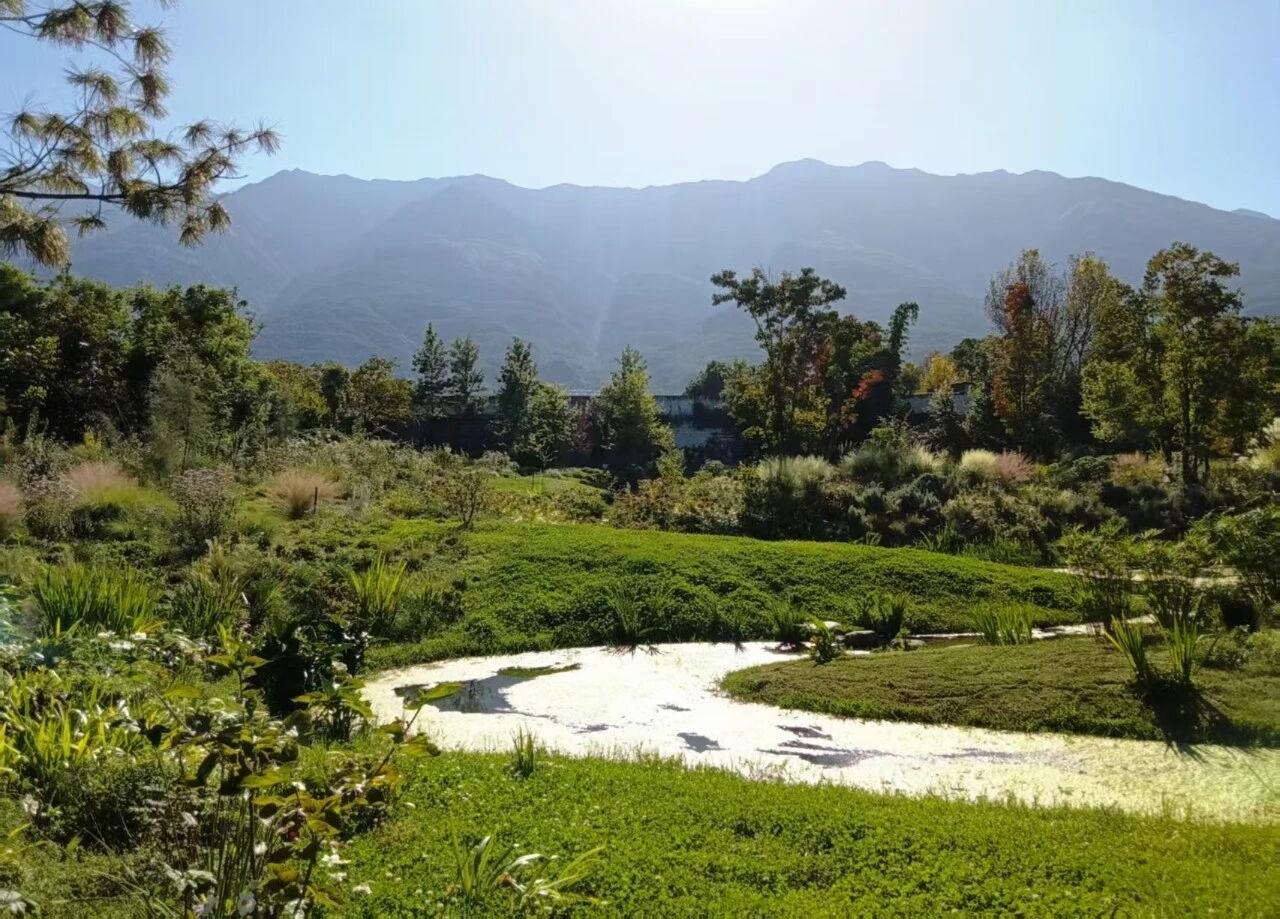 「山 · 叁夏」庄园-10