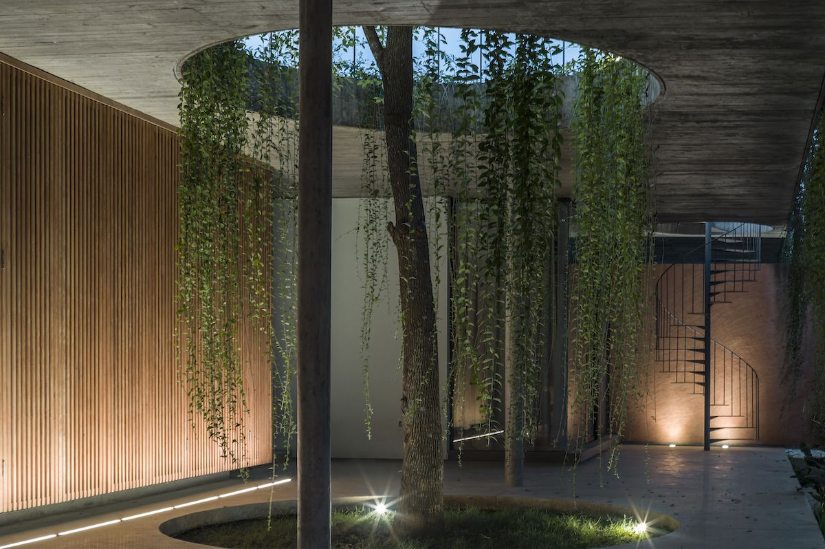 Ba Vì森林中的开放互动生活空间-77