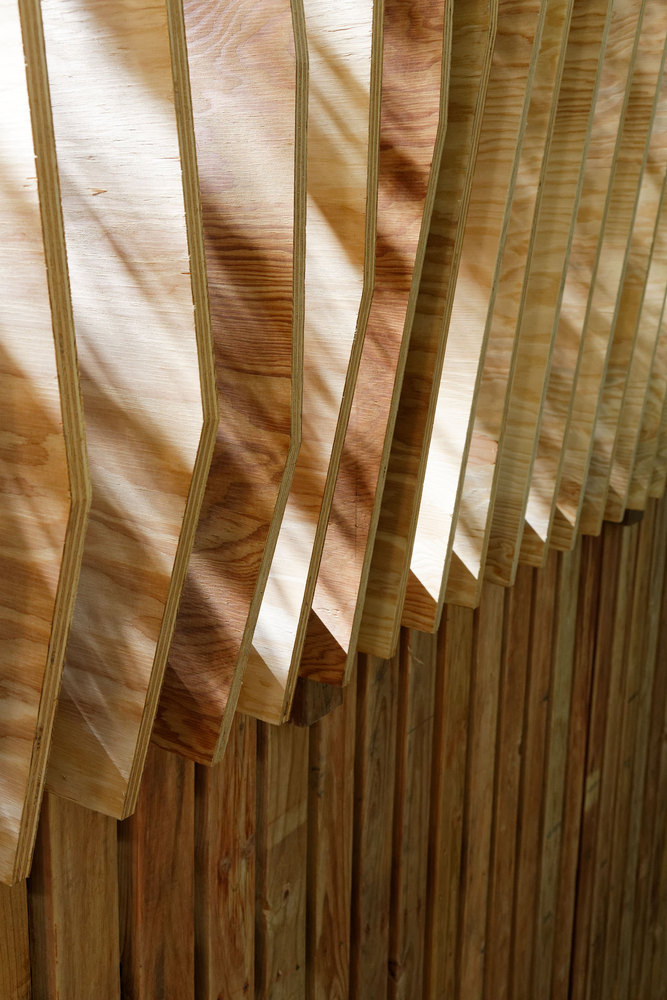 阿斯彭野生动物保护区的树屋奇观-25