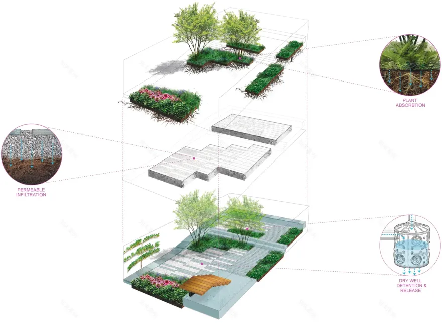 Urban Sponge Garden(城市海绵花园)丨美国新泽西-4