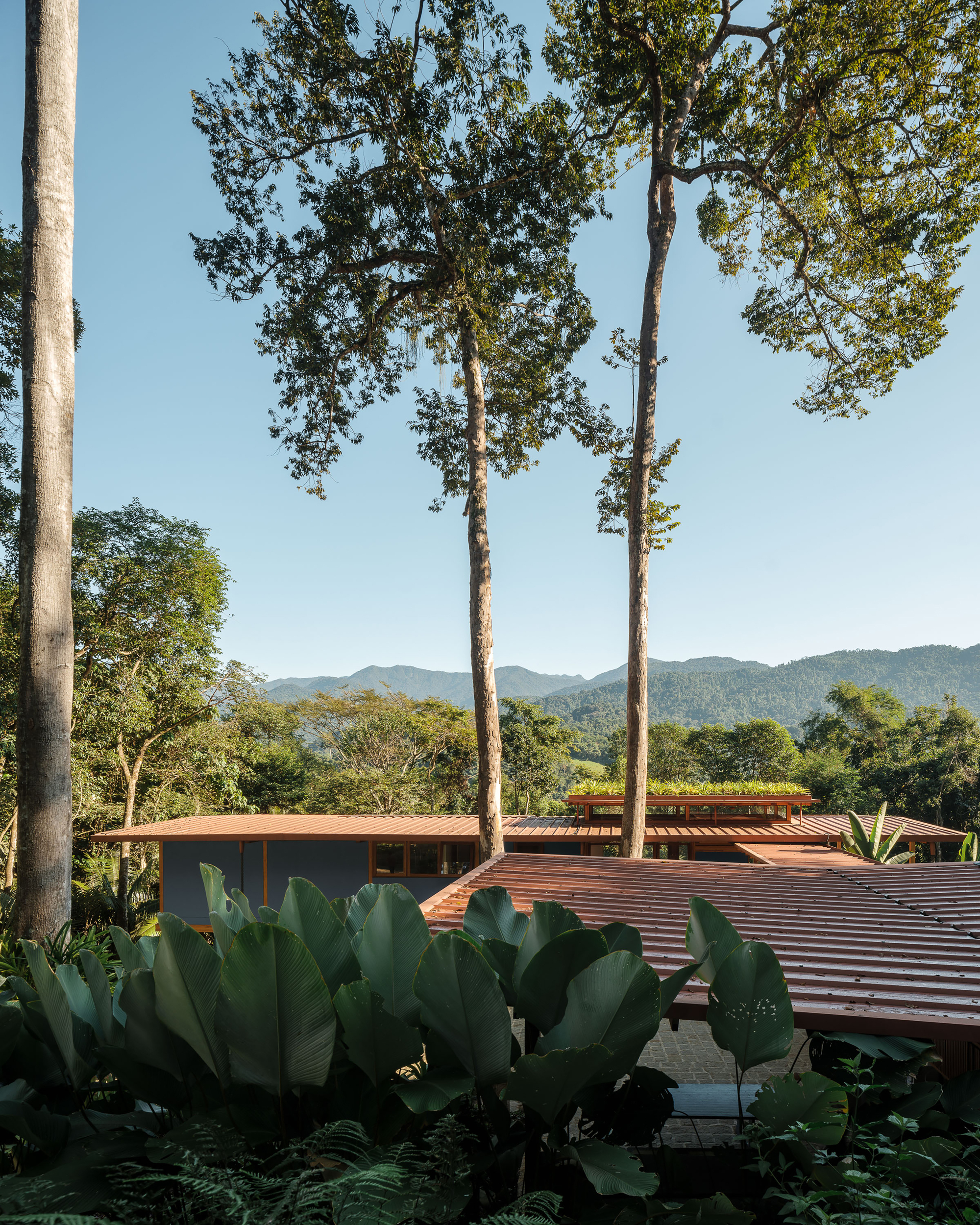 丨巴西帕拉丨Arquipélago Arquitetos-30