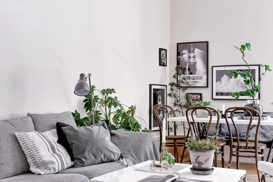 灰度空间 | 简约 Zen 生活的艺术-4